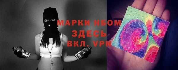 шишки Пересвет