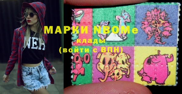 шишки Пересвет