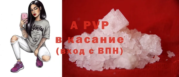 шишки Пересвет