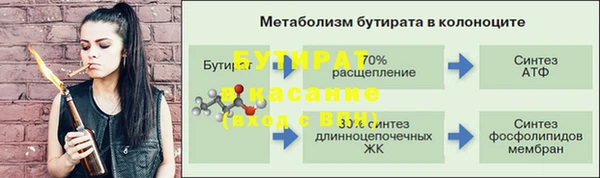 шишки Пересвет