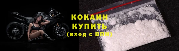 шишки Пересвет