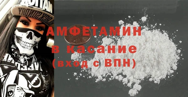 шишки Пересвет