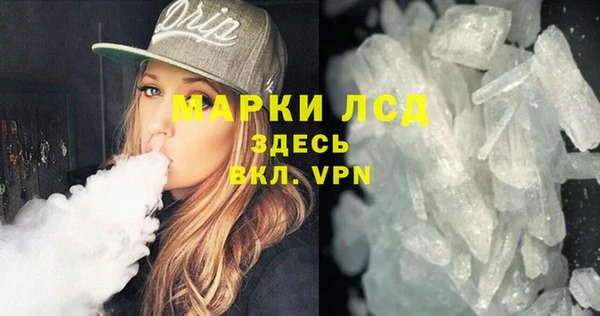 шишки Пересвет