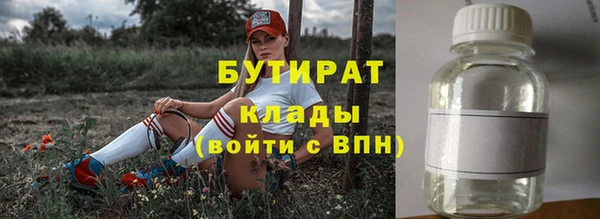 шишки Пересвет